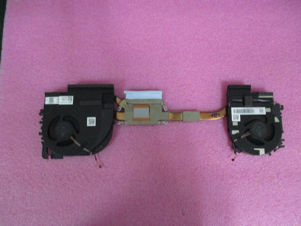 M20095-001