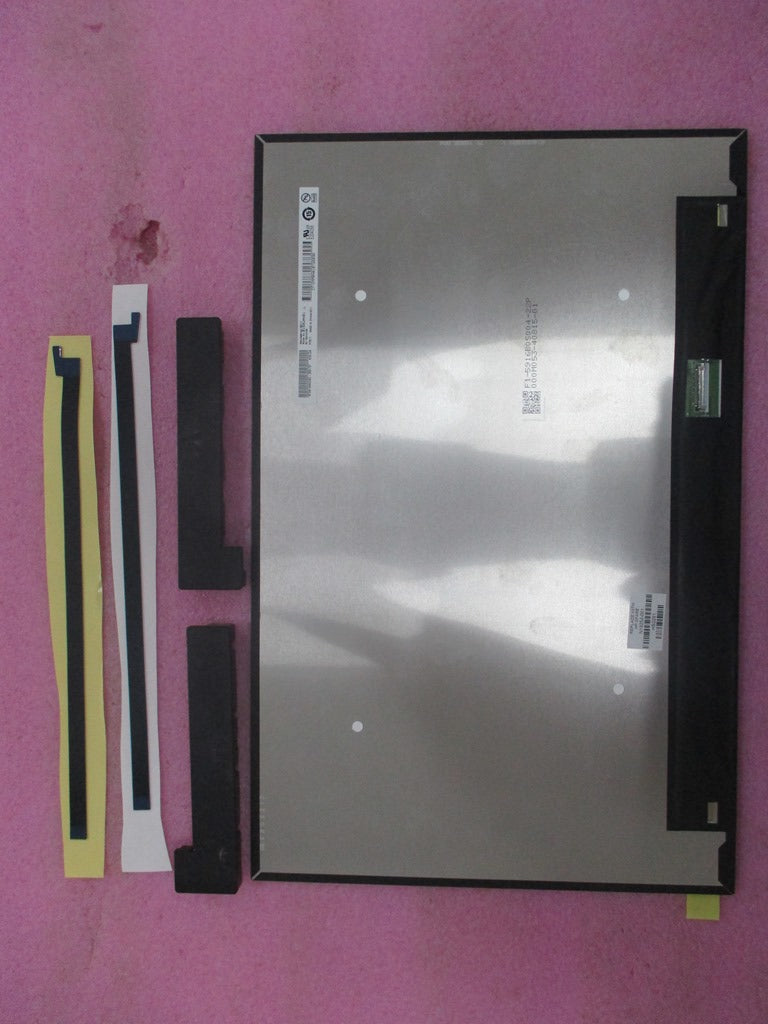 N19252-001
