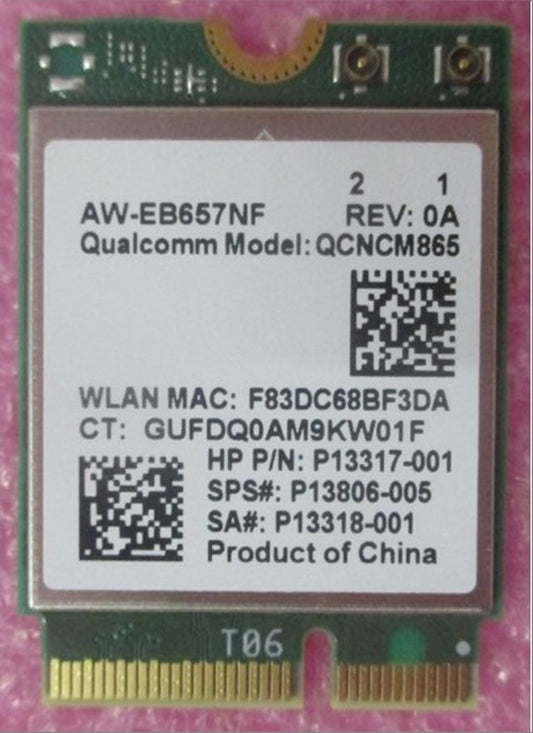 P13806-005